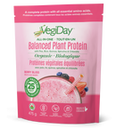 VegiDay All-in-one Balanced Plant Protein, Berry Bliss (475g)