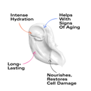 Koope Heavyweight Moisturizer (50 mL)