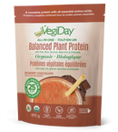 VegiDay All-in-One Balanced Plant Protein, Decadent Chocolate (470g)