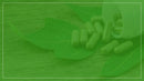 Shop vitamins and supplements online at Vitasave