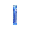 Boiron Belladonna 6 CH 80 Pellets Image 1