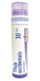 Boiron Thuja Occidentalis 30 CH 80 Pellets Image 1