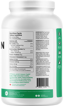 vegan chocolate protein